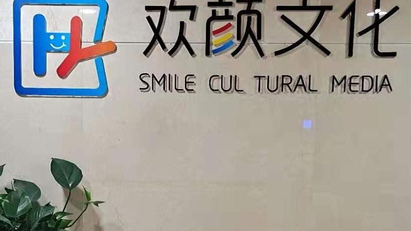 品牌策划公司收费标准揭秘：如何合理评估与选择